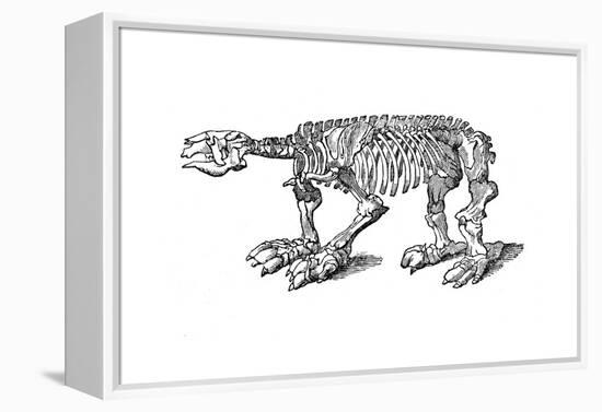 Skeleton of Megatherium, Extinct Giant Ground Sloth, 1833-Jackson-Framed Premier Image Canvas