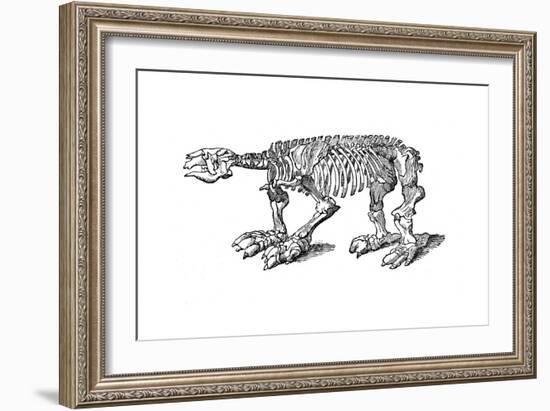 Skeleton of Megatherium, Extinct Giant Ground Sloth, 1833-Jackson-Framed Giclee Print