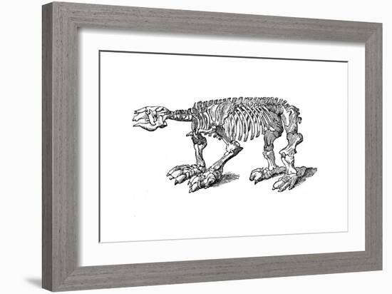 Skeleton of Megatherium, Extinct Giant Ground Sloth, 1833-Jackson-Framed Giclee Print