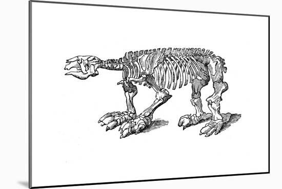 Skeleton of Megatherium, Extinct Giant Ground Sloth, 1833-Jackson-Mounted Giclee Print