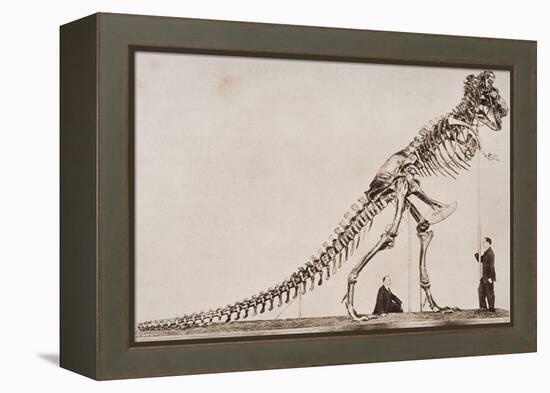 Skeleton of the Tyrannosaurus Rex, in the American Museum of Natural Histor-English School-Framed Premier Image Canvas