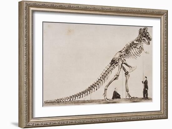 Skeleton of the Tyrannosaurus Rex, in the American Museum of Natural Histor-English School-Framed Giclee Print