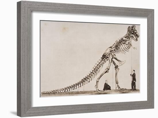 Skeleton of the Tyrannosaurus Rex, in the American Museum of Natural Histor-English School-Framed Giclee Print