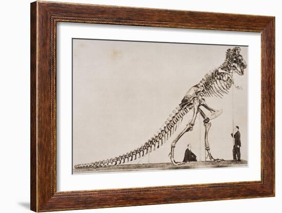 Skeleton of the Tyrannosaurus Rex, in the American Museum of Natural Histor-English School-Framed Giclee Print