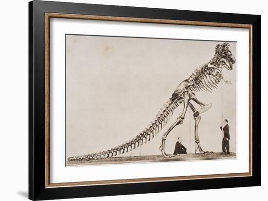 Skeleton of the Tyrannosaurus Rex, in the American Museum of Natural Histor-English School-Framed Giclee Print