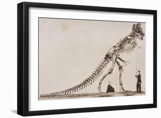 Skeleton of the Tyrannosaurus Rex, in the American Museum of Natural Histor-English School-Framed Giclee Print