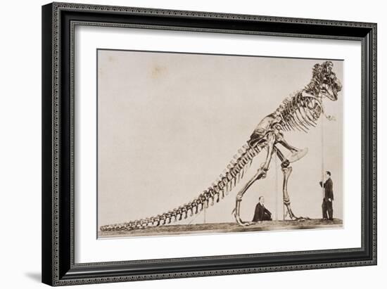 Skeleton of the Tyrannosaurus Rex, in the American Museum of Natural Histor-English School-Framed Giclee Print