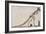 Skeleton of the Tyrannosaurus Rex, in the American Museum of Natural Histor-English School-Framed Giclee Print