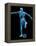 Skeleton Playing Football-Roger Harris-Framed Premier Image Canvas