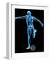 Skeleton Playing Football-Roger Harris-Framed Photographic Print