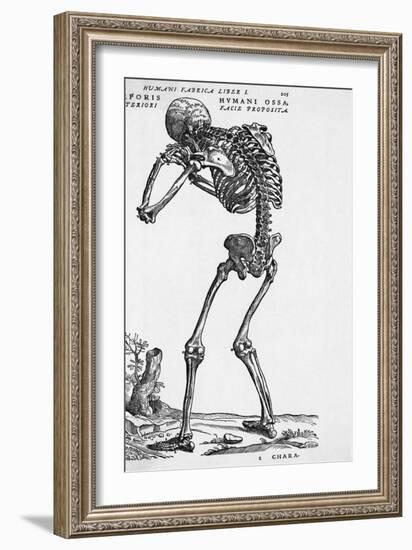 Skeleton Posterior-Bettmann-Framed Giclee Print