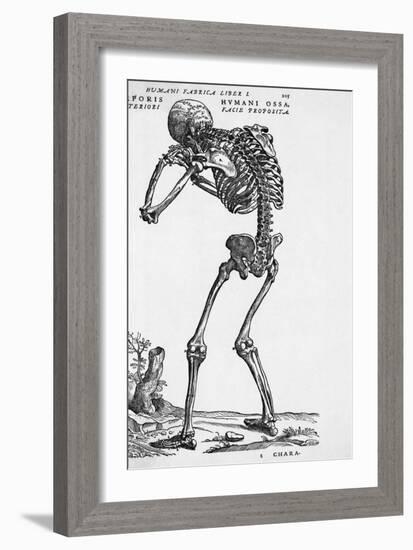 Skeleton Posterior-Bettmann-Framed Giclee Print