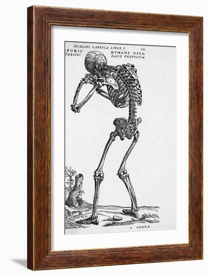 Skeleton Posterior-Bettmann-Framed Giclee Print