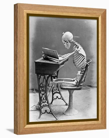 Skeleton Reading at Desk-Bettmann-Framed Premier Image Canvas