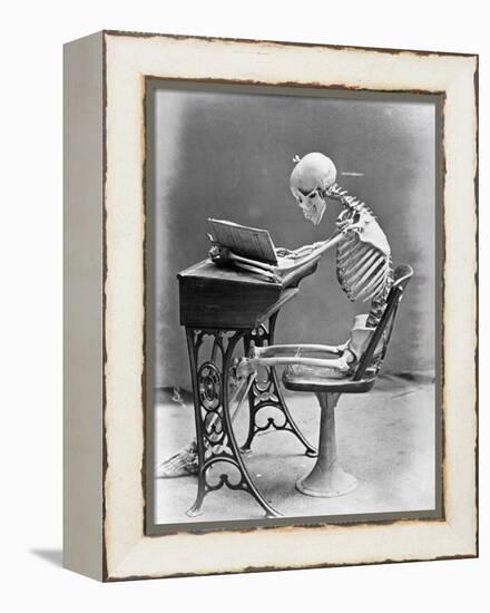 Skeleton Reading at Desk-Bettmann-Framed Premier Image Canvas