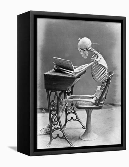 Skeleton Reading at Desk-Bettmann-Framed Premier Image Canvas