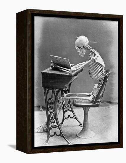 Skeleton Reading at Desk-Bettmann-Framed Premier Image Canvas