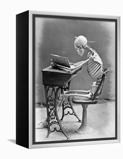 Skeleton Reading at Desk-Bettmann-Framed Premier Image Canvas