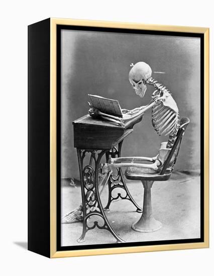 Skeleton Reading at Desk-Bettmann-Framed Premier Image Canvas