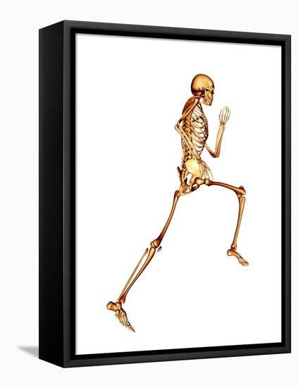 Skeleton Running-PASIEKA-Framed Premier Image Canvas