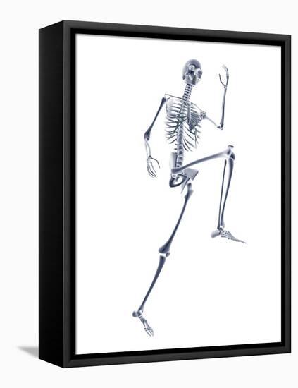 Skeleton Running-PASIEKA-Framed Premier Image Canvas
