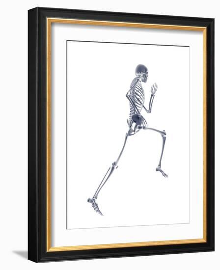 Skeleton Running-PASIEKA-Framed Photographic Print