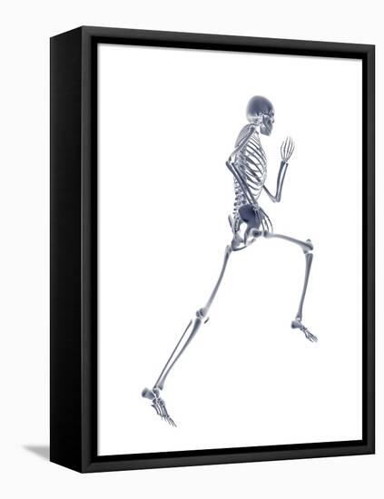 Skeleton Running-PASIEKA-Framed Premier Image Canvas
