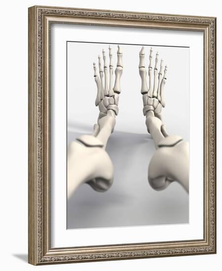 Skeleton's Feet, Artwork-David Mack-Framed Photographic Print