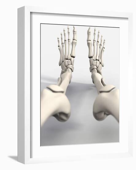 Skeleton's Feet, Artwork-David Mack-Framed Photographic Print