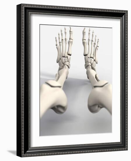 Skeleton's Feet, Artwork-David Mack-Framed Photographic Print