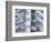 Skeleton spine and ribs-Robert Llewellyn-Framed Photographic Print