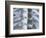 Skeleton spine and ribs-Robert Llewellyn-Framed Photographic Print