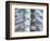 Skeleton spine and ribs-Robert Llewellyn-Framed Photographic Print