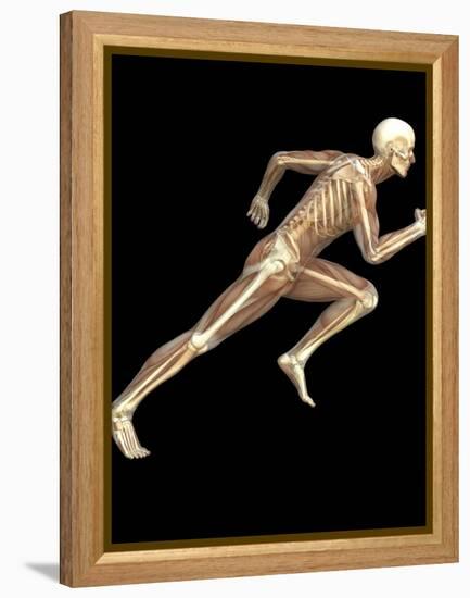 Skeleton Sprinting-Roger Harris-Framed Premier Image Canvas