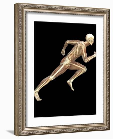 Skeleton Sprinting-Roger Harris-Framed Photographic Print