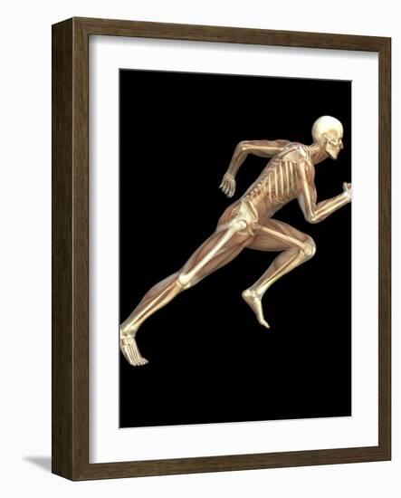 Skeleton Sprinting-Roger Harris-Framed Photographic Print