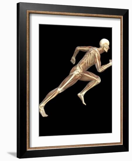 Skeleton Sprinting-Roger Harris-Framed Photographic Print