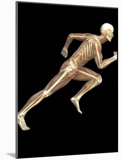 Skeleton Sprinting-Roger Harris-Mounted Photographic Print