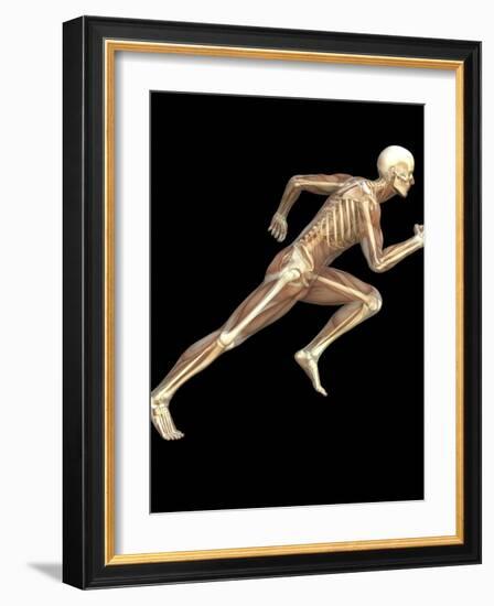 Skeleton Sprinting-Roger Harris-Framed Photographic Print