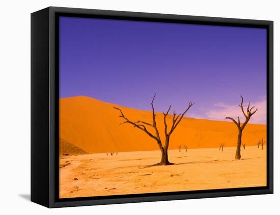 Skeleton Trees in Dead Vlei, Namibia World Heritage Site, Namibia-Michele Westmorland-Framed Premier Image Canvas