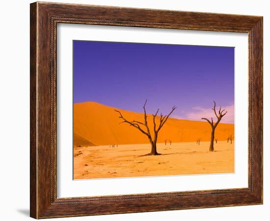 Skeleton Trees in Dead Vlei, Namibia World Heritage Site, Namibia-Michele Westmorland-Framed Photographic Print