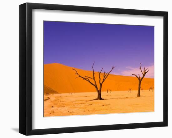 Skeleton Trees in Dead Vlei, Namibia World Heritage Site, Namibia-Michele Westmorland-Framed Photographic Print