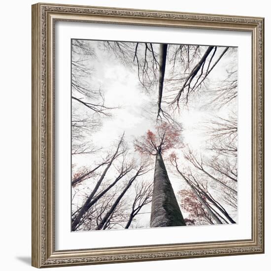 Skeleton-Philippe Sainte-Laudy-Framed Photographic Print