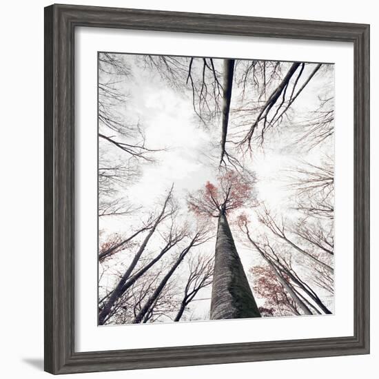 Skeleton-Philippe Sainte-Laudy-Framed Photographic Print