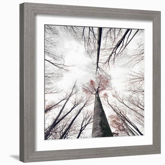 Skeleton-Philippe Sainte-Laudy-Framed Photographic Print