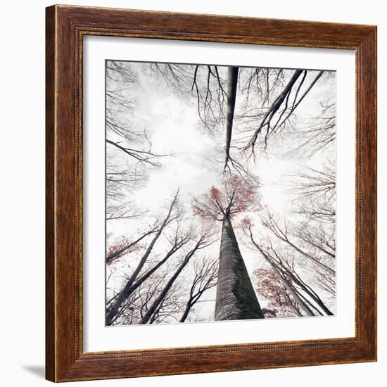 Skeleton-Philippe Sainte-Laudy-Framed Photographic Print