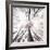 Skeleton-Philippe Sainte-Laudy-Framed Photographic Print