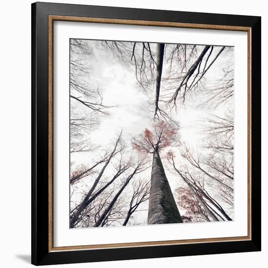 Skeleton-Philippe Sainte-Laudy-Framed Photographic Print