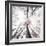 Skeleton-Philippe Sainte-Laudy-Framed Photographic Print