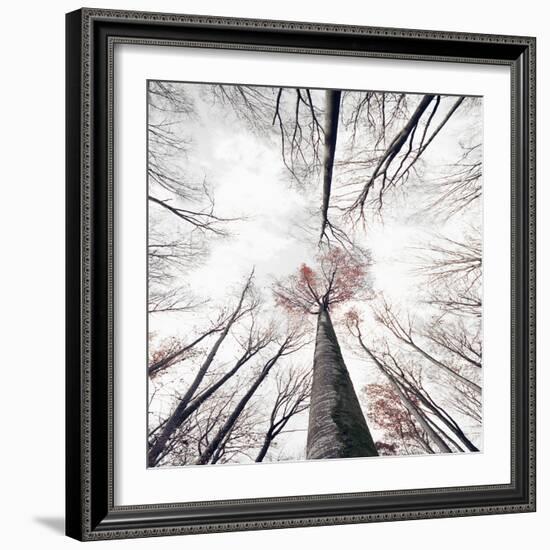 Skeleton-Philippe Sainte-Laudy-Framed Photographic Print